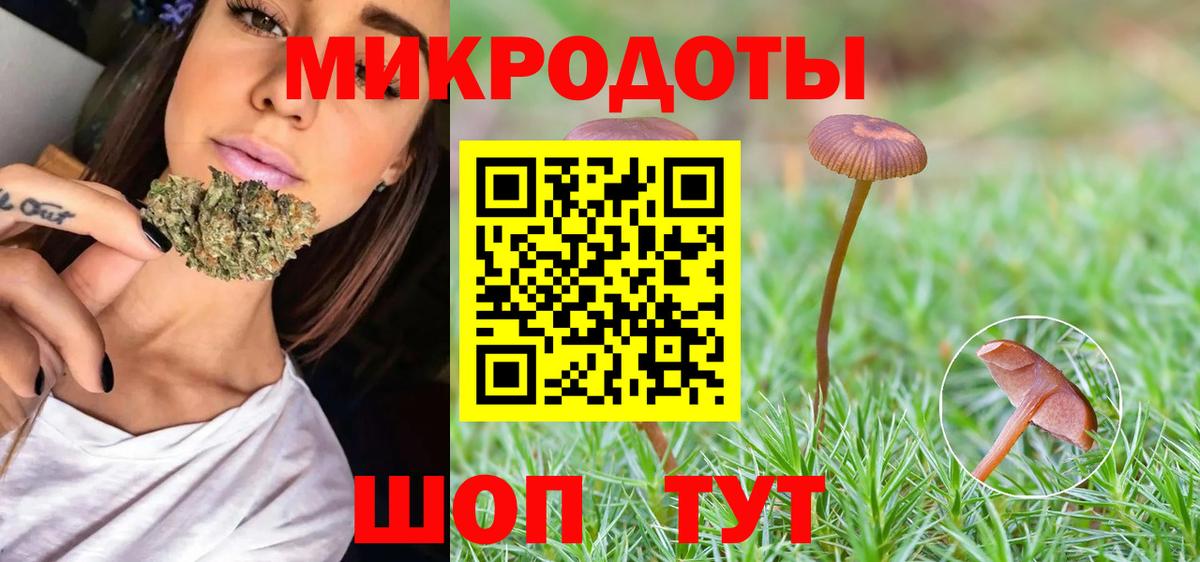 Чапаевск  Псилоцибиновые грибы Psilocybine cubensis  Вход с VPN  Псилоцибиновые грибы ЛСД 