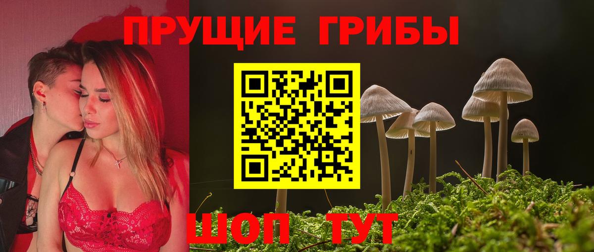 Псилоцибиновые грибы MAGIC MUSHROOMS Чапаевск